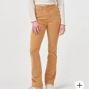 NWT Levi Cords